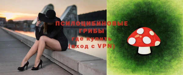ECSTASY Алексин