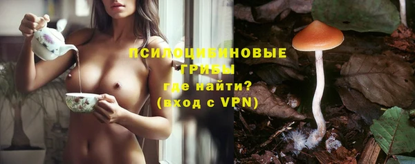 Альфа ПВП Алзамай